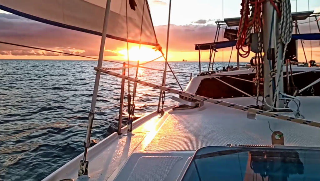 Snorkeling bateau Martinique, récifs coralliens